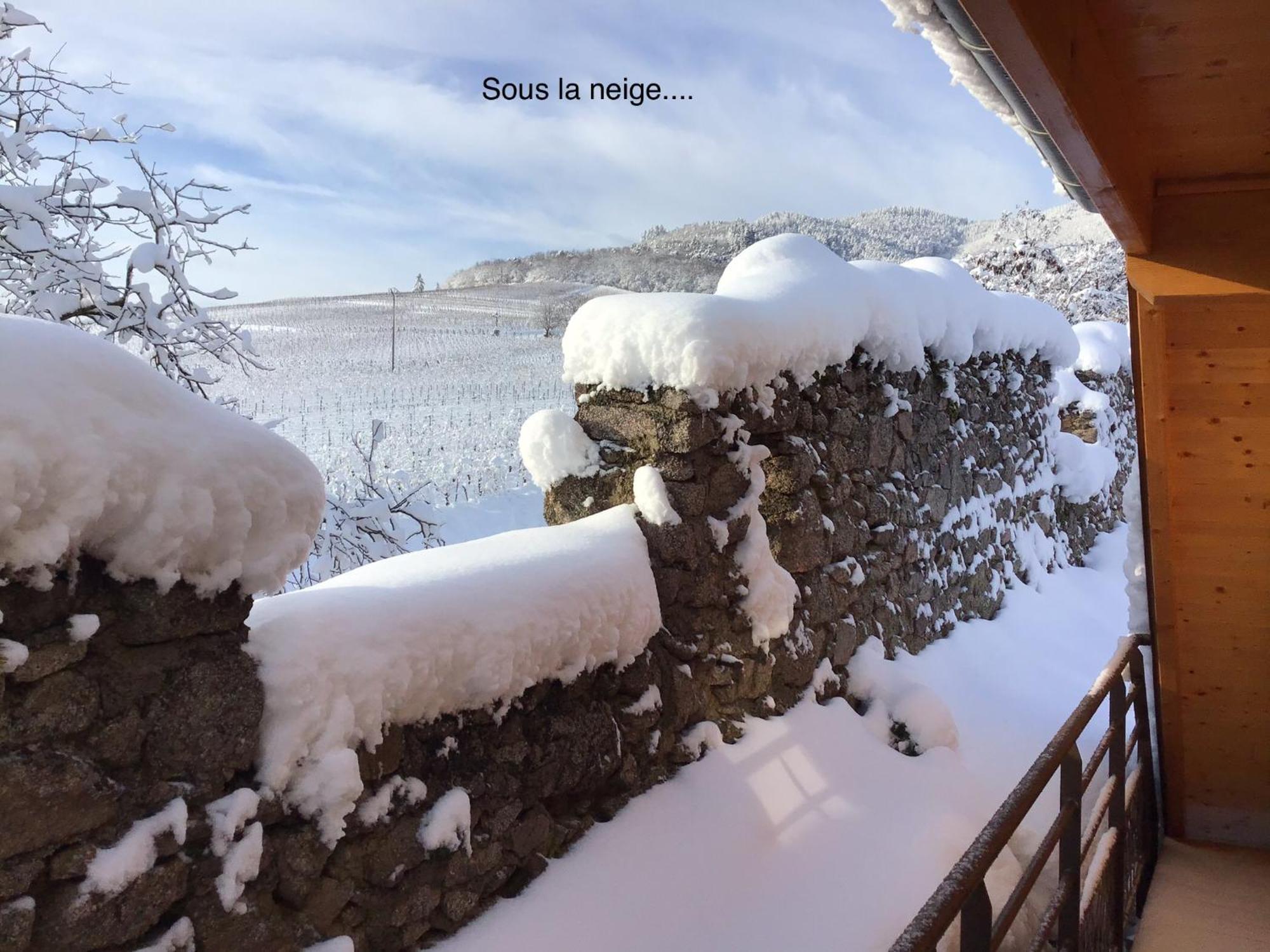 Le Refuge Du Rempart Hotel Dambach Quarto foto
